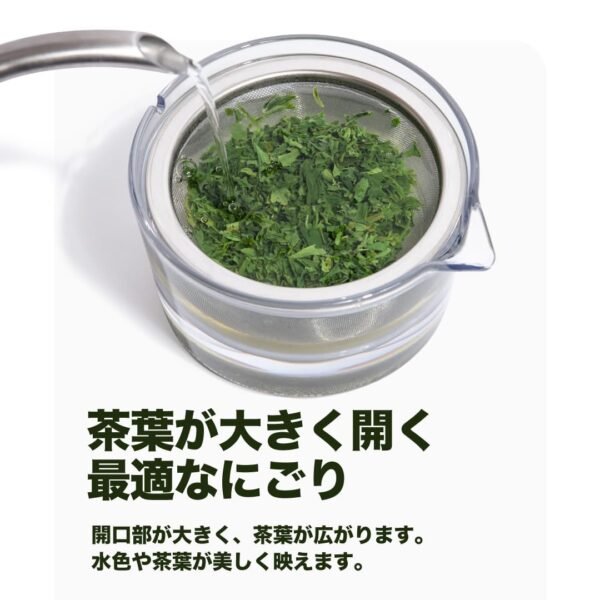 煎茶堂 透明急須 日本製